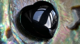 Crédit photo : Flora Rozet