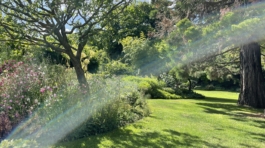 Publications 4 - Articles - Printemps